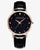 Women's Luxury Starry Sky Dial Watch - Zorrado